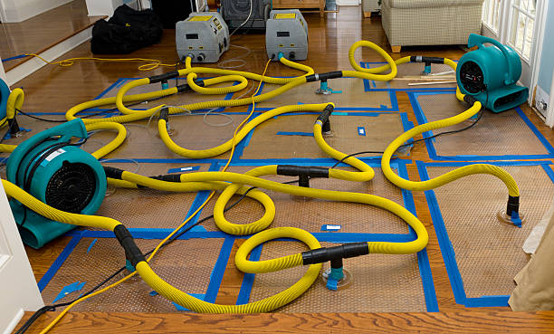 Professional Crawl Space Water Removal technician working in Chester, OH